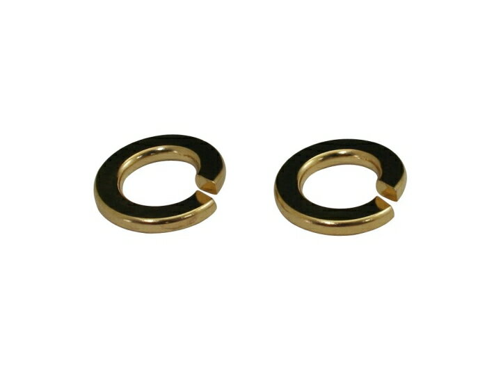 クリエイティブファクトリーポッシュ 24Kメッキスプリングワッシャ 811695-08 M8.2PCS