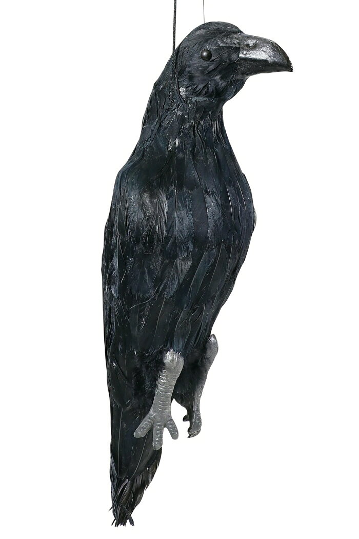 &nbsp;メーカー&nbsp;ARTEC&nbsp;商品カテゴリ&nbsp;害獣・害虫対策用品＞防鳥・防獣ネット&nbsp;発送目安&nbsp;1週間以内に発送予定&nbsp;お支払方法&nbsp;銀行振込・クレジットカード&nbsp;送料&nbsp;送料無料&nbsp;特記事項&nbsp;&nbsp;その他&nbsp;