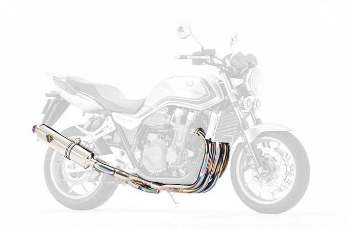 アールズギア 【必ず購入前に仕様をご確認下さい】21CB1300SF ワイバン Sin S Ti (WH48-S1ST)