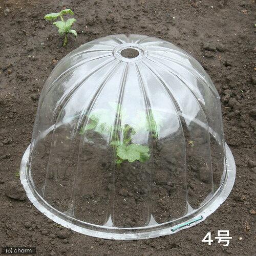 &nbsp;メーカー&nbsp;アカサカ(AKASAKA)&nbsp;商品カテゴリ&nbsp;害獣・害虫対策用品＞新着&nbsp;発送目安&nbsp;1〜2週間以内に発送予定&nbsp;お支払方法&nbsp;銀行振込・クレジットカード&nbsp;送料&nbsp;送料無料&nbsp;特記事項&nbsp;&nbsp;その他&nbsp;[ガーデニング・DIY・防殺虫】ガーデニング・花・植物・DIY]育苗にワンタッチ