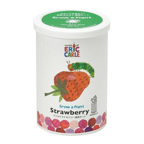 聖新陶芸 聖新 HP-0203 ハラペコアオムシ 栽培セットストロベリ