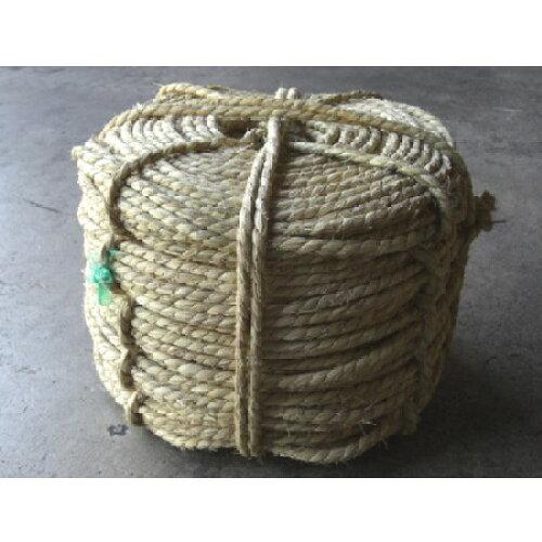 ���󥻥� SS ���� 3ʬ �䥯3.5kg