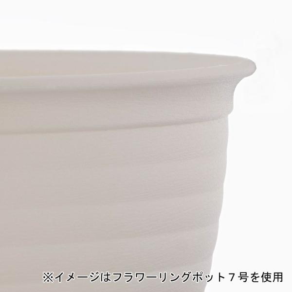 &nbsp;メーカー&nbsp;ベストコ&nbsp;商品カテゴリ&nbsp;鉢・プランター用品＞鉢&nbsp;発送目安&nbsp;3日〜4日以内に発送予定（土日祝除）&nbsp;お支払方法&nbsp;銀行振込・クレジットカード&nbsp;送料&nbsp;送料 小型(60)&nbsp;特記事項&nbsp;&nbsp;その他&nbsp;[オクト]