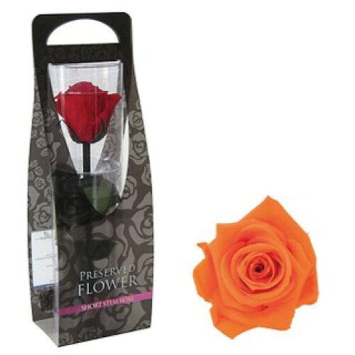 matsumurakogei ショートステムローズFL072ー29 タンジェリンオレンジ (165-51021-29)