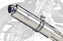 アールズギア 【必ず購入前に仕様をご確認下さい】08CB400SF/SB Wクラシック SO Ti (MH34-S3CT)