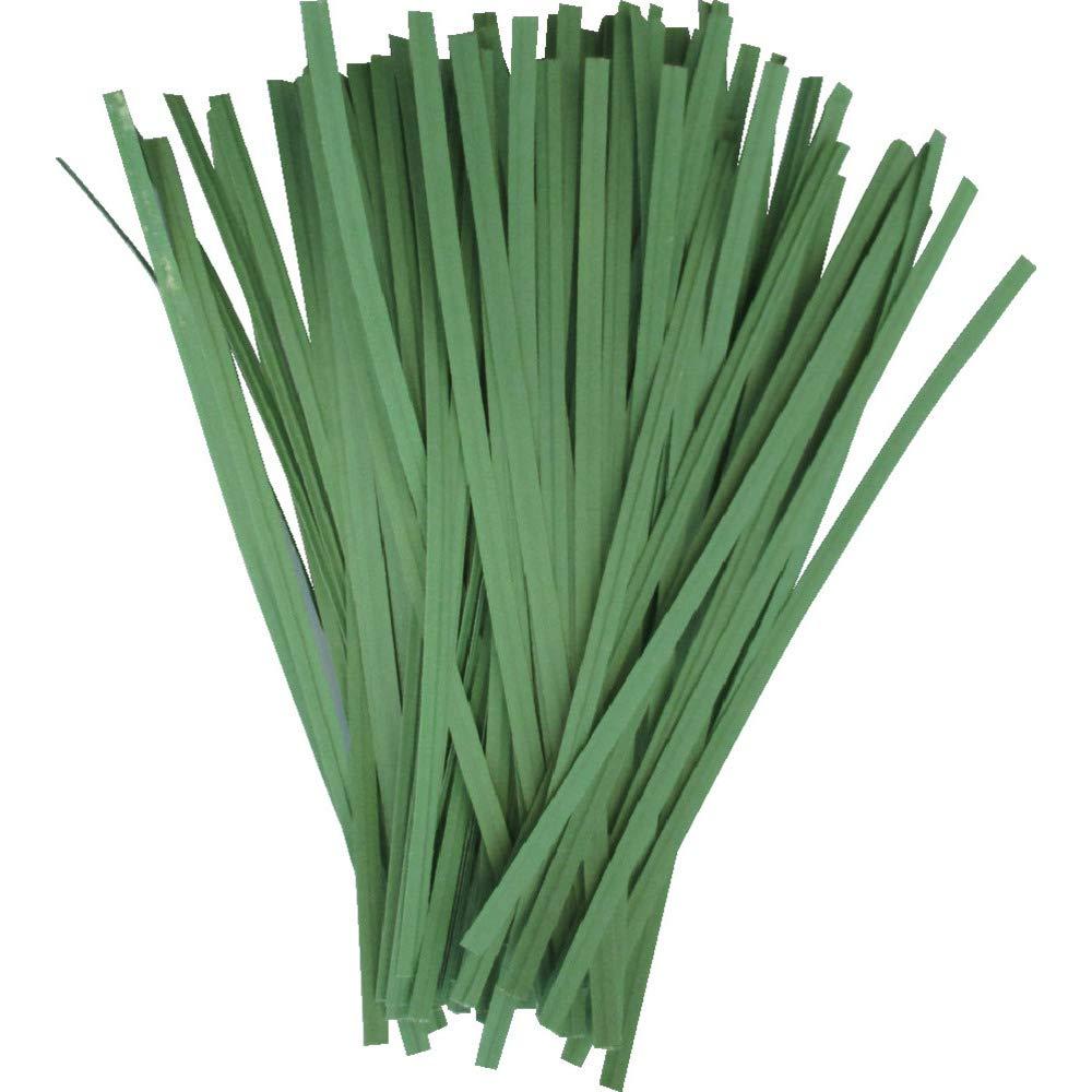 TRUSCO トラスコ中山 TRUSCO 園芸用ペーパータイ 幅4mm×長さ200mm 緑 (100本入)