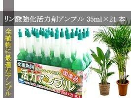 ヨーキ産業 ヨーキ 活力アンプル リン酸強化21P 35ml21本入