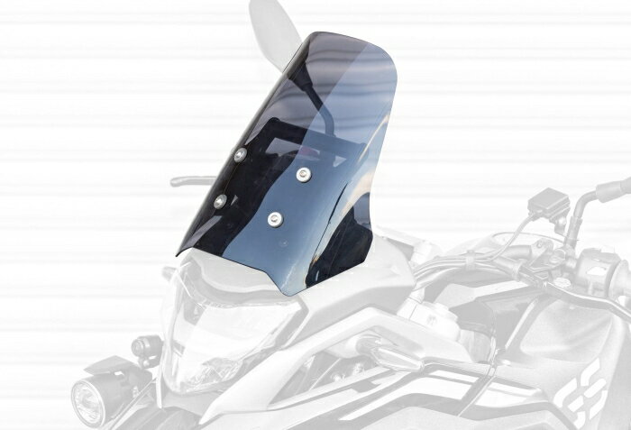 KIJIMA キジマ キジマ (kijima) バイク バイクパーツ スクリーンキット マウントバーステー付き φ22.2 最大積載量約1kg スモーク BMW G310GS('17-) BM-05100
