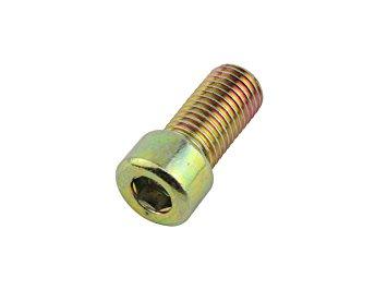 POSH Faith ポッシュフェイス フラットロ-ミラー キャップボルト M10ギャックネジP-1.25メッキ　(001921-BG)