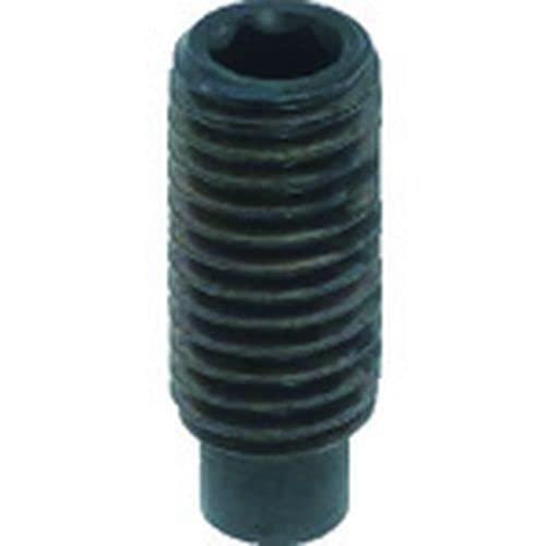 TRUSCO トラスコ中山 TRUSCO 六角穴付止めネジ 棒先 スチール M10x30 10本入