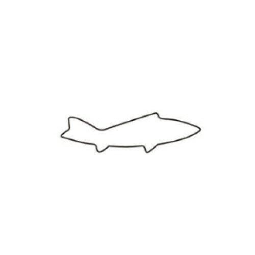 KANDA カンダ 生抜 鮎 中 #2 1個