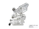 アールズギア 【必ず購入前に仕様をご確認下さい】ライディングステップ ZX25R/4R SV (AC01-0100-CL)