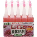 紀陽除虫菊 液体肥料(草花・鉢花用)35ml×10本入 (K2617 2455)