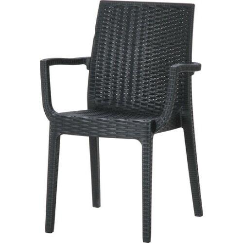 不二貿易 ステラ チェアー (肘付) ブラック(11234) 品番:49912