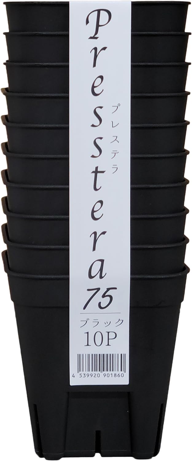 ���ܥݥ�ȭ���� �ץ쥹�ƥ�75�� 10���� �֥�å�