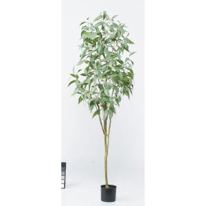 アスカ(Asca) ユーカリ(ポット付) グリーン (A-51040-51A)