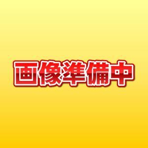 アクティブ(ACTIVE) オプション 5mm延長カラーセット GLD ACTIVE 17725002 ステップバー ライダー側/タンデム側兼用