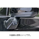 データシステム(Data System) データシステム 車種別サイドカメラキットSCK series ホンダ オデッセイ用 SCK-47D3A(LED内蔵タイプ) (1053181)