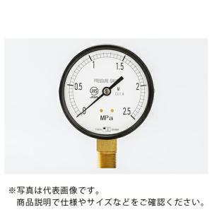 高島 一般蒸気用圧力計(A枠立型・φ100)圧力レンジ0.0〜2.5MPa G3/8【102712540】 (102712540 4009)