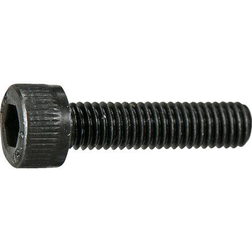 ECJOYץߥŷԾŹ㤨TRUSCO ȥ饹滳 TRUSCO ϻѷեܥ  ͥ M25 10 ̥ѥå /åץܥ(CAP (Y8040205 6600פβǤʤ316ߤˤʤޤ