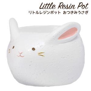 &nbsp;メーカー&nbsp;ケー・イー・アイ&nbsp;商品カテゴリ&nbsp;鉢・プランター用品＞鉢&nbsp;発送目安&nbsp;2日〜3日以内に発送予定（土日祝除）&nbsp;お支払方法&nbsp;銀行振込・クレジットカード&nbsp;送料&nbsp;送料無料&nbsp;特記事項&nbsp;&nbsp;その他&nbsp;