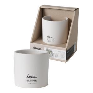 ノルコーポレーション クレッシェンド 種から育てる サボテン 栽培キット CRS-1 植物 インテリア (CRS-..