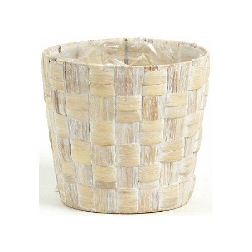 SG Wonder zone エスジーワンダーゾーン ヒヤシンス ダ鉢6号用 369-60D (1909022)