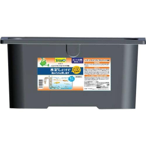 スペクトラムブランズジャパン 3 テトラ じょうろでキレイメダカ鉢 40×40 黒 73184...