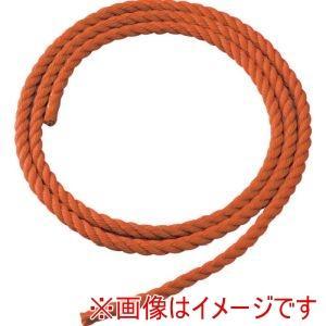 &nbsp;メーカー&nbsp;TRUSCO トラスコ中山&nbsp;商品カテゴリ&nbsp;はしご・脚立＞はしご兼用脚立&nbsp;発送目安&nbsp;1日〜2日以内に発送予定（土日祝除）&nbsp;お支払方法&nbsp;銀行振込・クレジットカード&nbsp;送料&nbsp;送料無料&nbsp;特記事項&nbsp;&nbsp;その他&nbsp;[トラスコ中山(株)][新着]