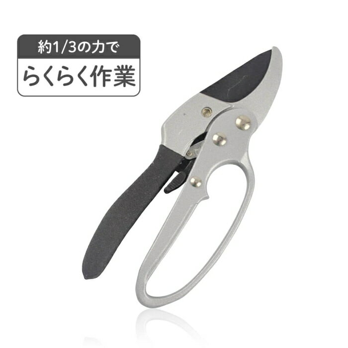 &nbsp;メーカー&nbsp;デジタルランド&nbsp;商品カテゴリ&nbsp;剪定用具＞園芸用はさみ&nbsp;発送目安&nbsp;1〜2週間以内に発送予定&nbsp;お支払方法&nbsp;銀行振込・クレジットカード&nbsp;送料&nbsp;送料無料&nbsp;特記事項&nbsp;&nbsp;その他&nbsp;[ガーデニング・DIY・防殺虫】ガーデニング・花・植物・DIY]おすすめ