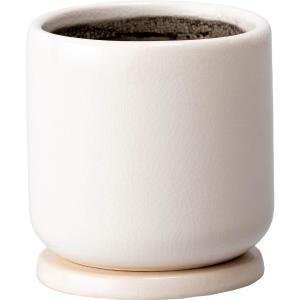 &nbsp;メーカー&nbsp;ミュールミル&nbsp;商品カテゴリ&nbsp;鉢・プランター用品＞プランター&nbsp;発送目安&nbsp;1週間以内に発送予定&nbsp;お支払方法&nbsp;銀行振込・クレジットカード&nbsp;送料&nbsp;送料無料&nbsp;特記事項&nbsp;&nbsp;その他&nbsp;[ガーデニング・DIY・防殺虫】ガーデニング・花・植物・DIY]プランター
