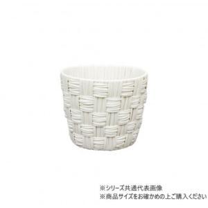 &nbsp;メーカー&nbsp;大橋新治商店&nbsp;商品カテゴリ&nbsp;鉢・プランター用品＞プランター&nbsp;発送目安&nbsp;1〜2週間以内に発送予定&nbsp;お支払方法&nbsp;銀行振込・クレジットカード&nbsp;送料&nbsp;送料無料&nbsp;特記事項&nbsp;&nbsp;その他&nbsp;[ガーデニング・DIY・防殺虫】ガーデニング・花・植物・DIY]大きめのリムが特徴的