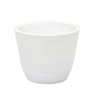 &nbsp;メーカー&nbsp;大橋新治商店&nbsp;商品カテゴリ&nbsp;鉢・プランター用品＞鉢&nbsp;発送目安&nbsp;1〜2週間以内に発送予定&nbsp;お支払方法&nbsp;銀行振込・クレジットカード&nbsp;送料&nbsp;送料 小型(60)&nbsp;特記事項&nbsp;&nbsp;その他&nbsp;[ガーデニング・DIY・防殺虫】ガーデニング・花・植物・DIY]しっとりとした質感