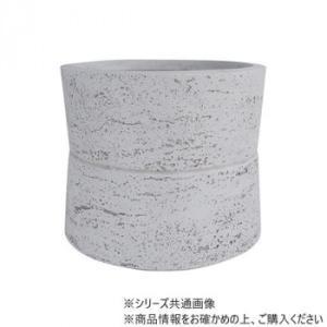 グリーンポット貿易部 グリーンポット 植木鉢 ホルム ナロー ホワイト 23cm GA-3423WH (2320569)
