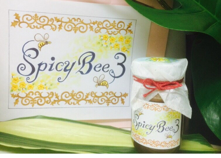 【送料無料/代引き不可】SpicyBee3酵素たっぷり生ハチミツ100%(オーガニックカシアベトナム産シナモン、ローヤルゼリー、ビーポーレン(蜂花粉)入り)