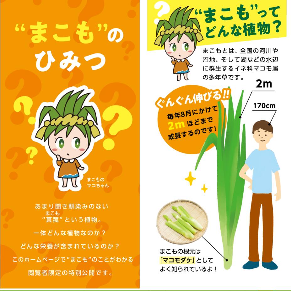 �������̡ۡ�1Ȣ�ۡ�10���1Ȣ�ۡڥ����ʡ����������ۿ��֥ѥ�������̵�����˥ޥ���ѥ��������ޤ���