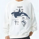 スウェット トレーナー 丸首 厚手 ミニマル 秋冬トレンド 通学 ほどよい抜け感 カジュアル ユニセックス ビッグサイズOK M〜4XL リラックスシルエット ...