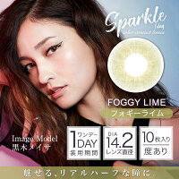 GIVRESparkle1day【ジーヴルスパークルワンデー10枚入り】