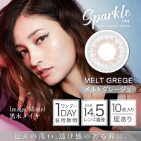 GIVRESparkle1day【ジーヴルスパークルワンデー10枚入り】