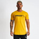 VANQUISH FITNESS ヴァンキッシュフィットネスTシャツ メンズ 半袖Tシャツ 黄色 メンズトップスジムTシャツ ジムウエア スポーツウエア..