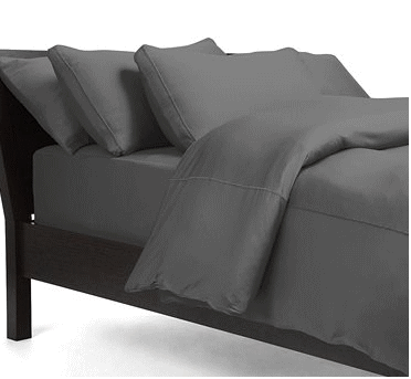 SHEEX �ѥե����ޥ󥹥����� �������� ������SX08 �ꥫ�Х꡼�ѥե����ޥ󥹥ԥ�����������������Standard/���顼��Graphite������̵���ۡ�Ǽ����2��3���������