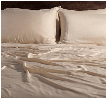 SHEEX �ѥե����ޥ󥹥����� �������� ������SX10 �������������Х�֡��ԥ������åȥ�������Standard/���顼��Honey������̵���ۡ�Ǽ����2��3���������