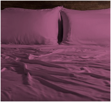 SHEEX �ѥե����ޥ󥹥����� �������� ������SX10 �������������Х�֡��ԥ������åȥ�������Standard/���顼��Cranberry������̵���ۡ�Ǽ����2��3���������