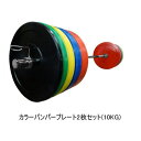 オリンピックバンパープレート バーベルプレートクロスフィット バーベル バンパープレートオリンピックプレート 10KG バンパープレート 【直径45cm】【2枚...