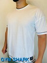 ジムシャーク Tシャツ メンズ スポーツ トレーニング TシャツTシャツ メンズ 半袖 ボディビル Tシャツ レギュラーフィットアームライン リセス バックグラフィック Tシャツ 筋トレフィジーク Tシャツ 【送料無料】【取寄】【トップス単品】