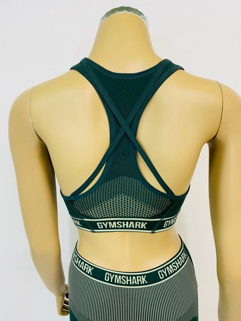 GYM SHARK スポーツブラ レディース ジムシャーク ウェア ジムシャーク スポーツブラ ミディアムサポート スポブラ 揺れない ジム ヨガ エイペックス パフォーマンス ハイネック スポーツブラ 大きいサイズ フィジーク スポーツブラ 【送料無料】【ブラ単品】