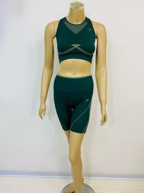 GYM SHARK スポーツブラ レディース ジムシャーク ウェア ジムシャーク スポーツブラ ミディアムサポート スポブラ 揺れない ジム ヨガ エイペックス パフォーマンス ハイネック スポーツブラ 大きいサイズ フィジーク スポーツブラ 【送料無料】【ブラ単品】