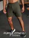 PURSUE FITNESS スポーツ ハーフパンツ メンズ 大きいサイズ スポーツウェア ショートパンツ メンズ 膝上 ジム 筋トレ フィジーカー ショーツ ストレッチ ハイブリッド エブリディ トレーニングショーツ ボディビル パンツ フィジーク ショーツ 【取寄】【ボトムス単品】(4)