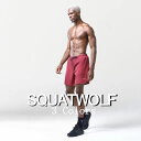 SQUAT WOLF スクワットウルフ ハーフパンツ メンズ 大きいサイズ スポーツウェア ショートパンツ メンズ 太もも丈 ジム 筋トレ パンツストレッチ ラ...