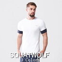 SQUAT WOLF スクワットウルフ Tシャツ メンズ 大きいサイズ スポーツウェア Tシャツ メンズ 半袖 ジム 筋トレ トレーニング マッスルフィット ラボ360 ラグランスリーブ パフォーマンス トレーニングTシャツ フィジーク Tシャツ ボディビル 